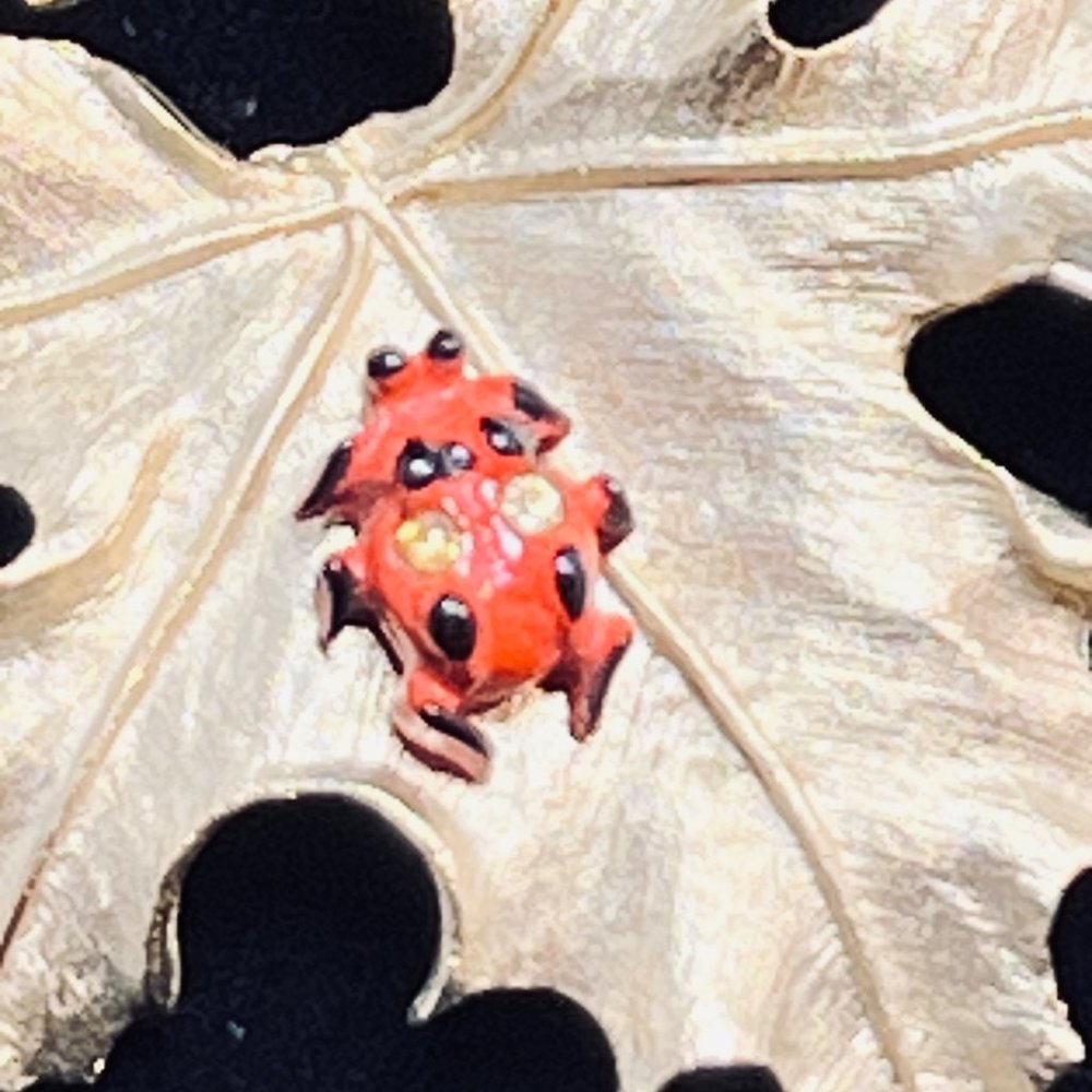 Vintage Sarah Coventry Gold Tone Leaf With Lady Bug Brooch (4626) - Picture 2 of 6